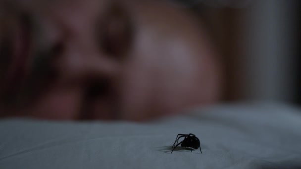 Hombre Duerme Mientras Viuda Negra Spider Arrastra Por Almohada Dejándolo — Vídeo de stock