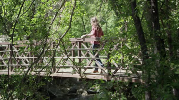 Fark Ettiği Bir Şeyin Fotoğrafını Çekmek Için Köprüde Yürüyen Kadın — Stok video