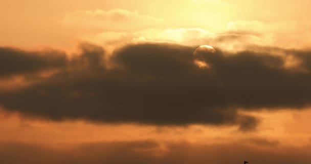 Солнце Светит Небе Освещая Облака Закате Желтый Оранжевый — стоковое видео