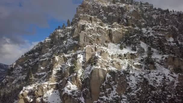 Luchtfoto Van Rocky Mountain Winter Vliegen Langs Pine Tree Forest — Stockvideo