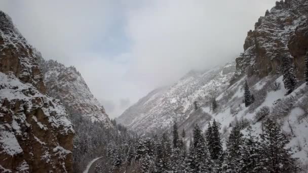 Vue Aérienne Canyon Enneigé Survolant Les Cimes Des Arbres Dans — Video