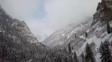 Dağlarda ağaç tepelerinde karlı kanyonda geriye doğru uçan havadan görünüm.