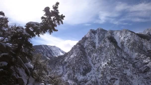 Vista Aérea Volando Entre Árboles Invierno Viendo Montañas Cubiertas Nieve — Vídeos de Stock