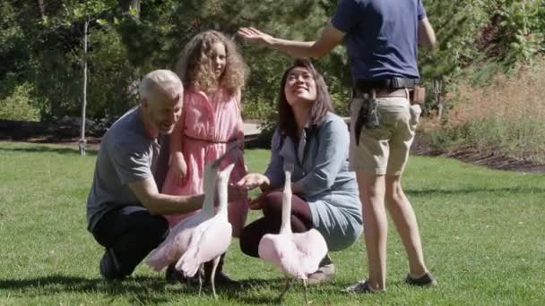Ptačí Trenér Ukazuje Rodinné Lžíce Voliéně Protože Jim Drží Potravu — Stock video