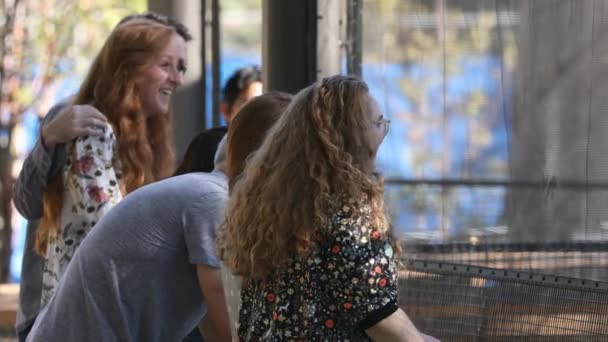 Grupo Personas Mirando Jaula Mientras Señalan Ríen Mientras Exploran Zoológico — Vídeo de stock