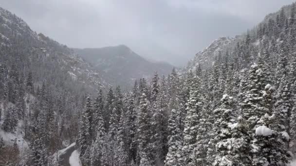 Blick Auf Den Schneebedeckten Wald Beim Aufstieg Über Die Bäume — Stockvideo