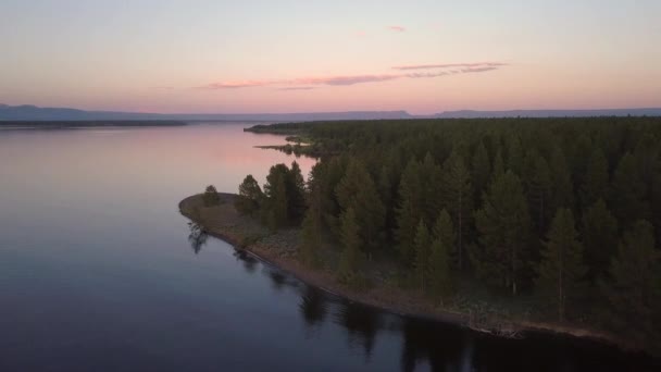 Vista Aérea Volando Sobre Costa Lago Bosque Mientras Orilla Serpentea — Vídeo de stock