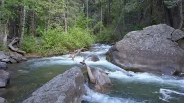 Utah'ta ağaçların arasında ve Amerikan Çatal Nehri üzerinde uçmak.