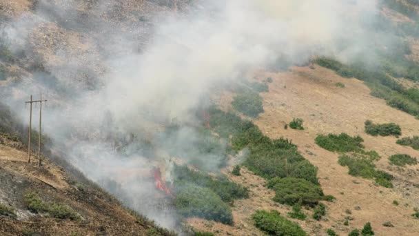 Blick Auf Waldbrände Die Sich Ihren Weg Über Die Berghänge — Stockvideo