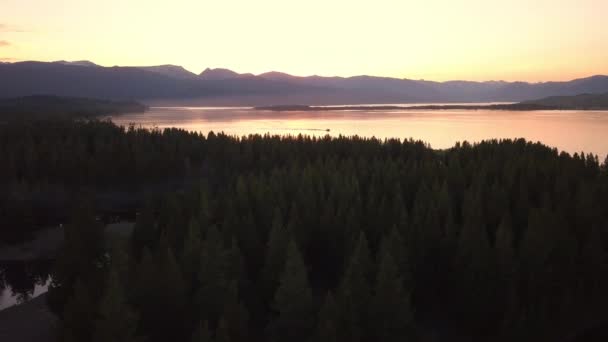 Vliegen Pine Tree Forest Bij Zonsondergang Naar Meer Met Boot — Stockvideo