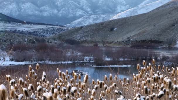 Winter Landschap Lagen Rond Een Meer Met Distel Uitzicht Kustlijn — Stockvideo