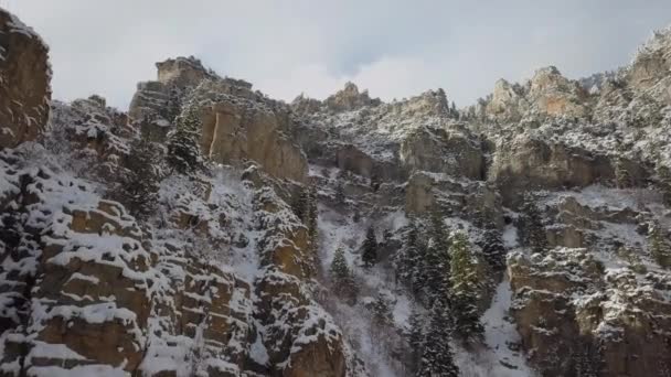 在犹他州美国福克峡谷的冬季 在雪盖悬崖上飞行 — 图库视频影像