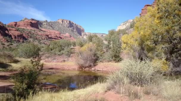 Rzeka Pięknej Pustyni Arizonie Usa — Wideo stockowe