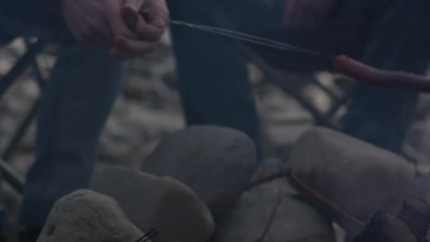 Gençlergrubu Açık Ateşte Sosis Marshmallow Kızartma — Stok video