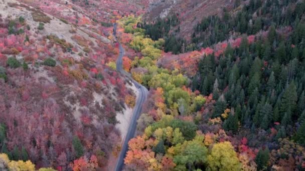 Vista Aérea Carretera Las Montañas Con Árboles Colores Bosque — Vídeos de Stock