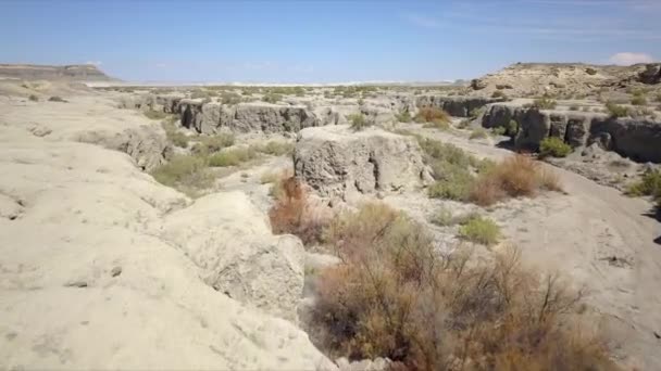 Wild Desert Utah Usa — Stock video