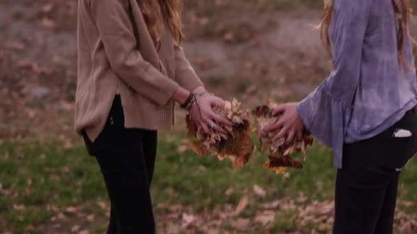Två Tvilling Systrar Leker Med Fallande Löv Utomhus — Stockvideo