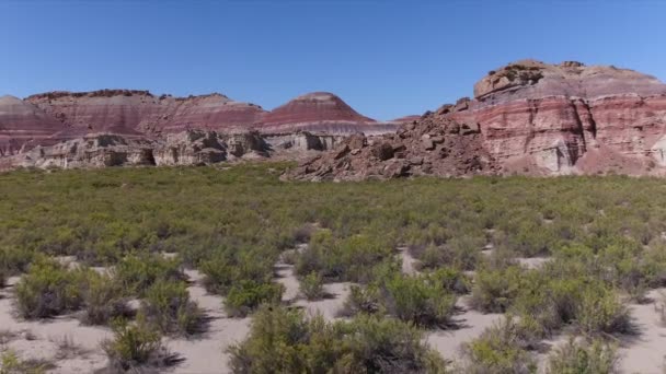 Désert Sauvage Dans Utah États Unis — Video