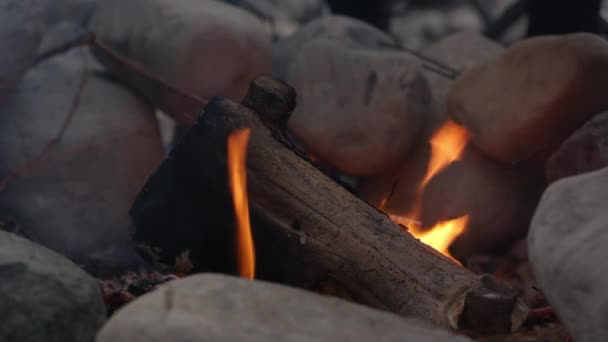 屋外で火の中で丸太を燃やす — ストック動画
