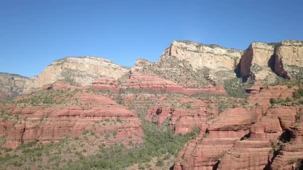 Wild Desert Arizona Usa — Stock Video