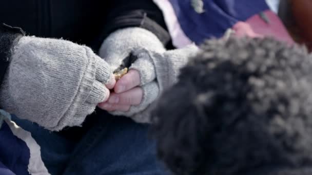 Hombre Sin Hogar Está Partiendo Pedazo Pan Sentado Con Perro — Vídeos de Stock