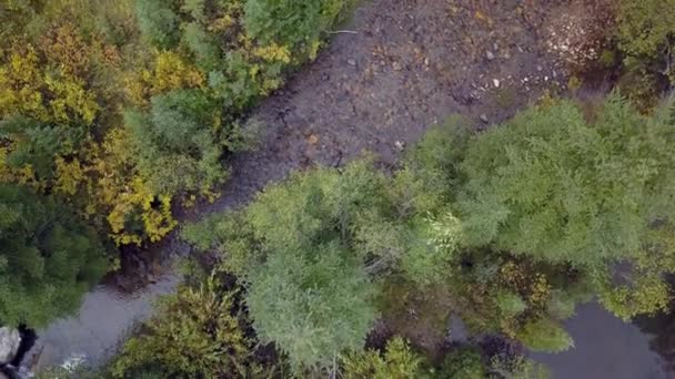 美丽的森林中的山河 — 图库视频影像