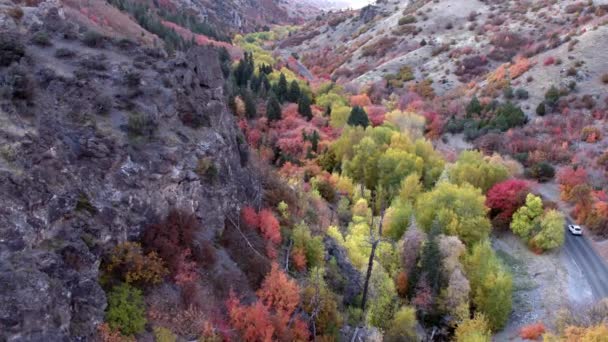 Vista Aérea Estrada Montanhas Com Árvores Coloridas Floresta — Vídeo de Stock