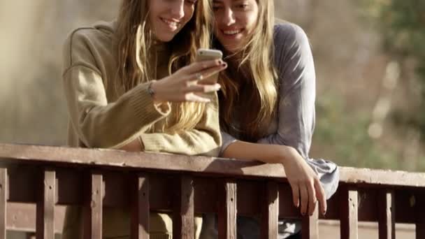 Duas Irmãs Gêmeas Usando Telefone Celular Livre — Vídeo de Stock