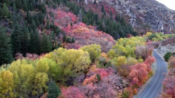 Vista Aérea Carretera Las Montañas Con Árboles Colores Bosque — Vídeos de Stock