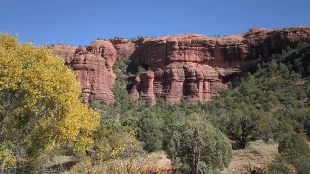 Wild Desert Arizona Usa — Stockvideo