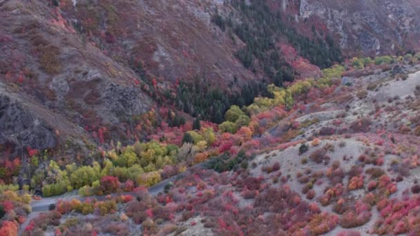 カラフルな森と山々の航空写真 — ストック動画