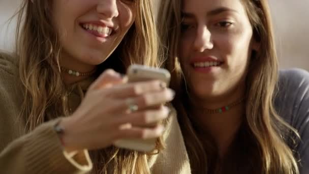 Dos Hermanas Gemelas Usando Teléfono Móvil Aire Libre — Vídeo de stock