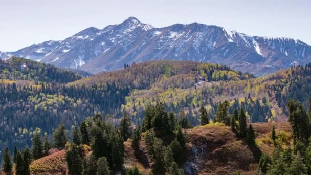 Beautiful Mountain Landscape View Usa — Stock Video
