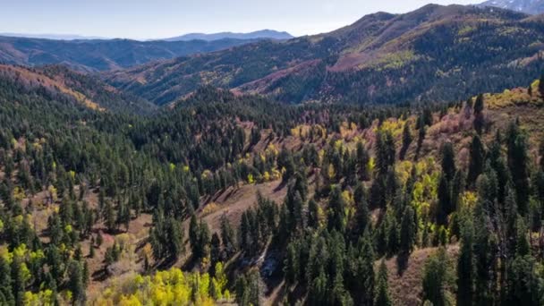 Belle Vue Sur Paysage Montagne Aux États Unis — Video