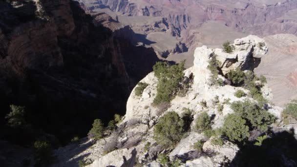 亚利桑那州Usa的野生沙漠 — 图库视频影像