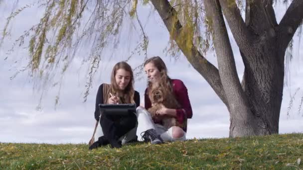 Twin Sisters Using Ipad Big Tree — Stock Video