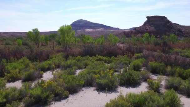 Vad Sivatag Utah Egyesült Államok — Stock videók