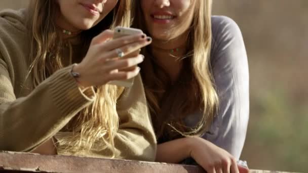 Twee Tweeling Zusters Die Mobiele Telefoon Buitenshuis Gebruiken — Stockvideo