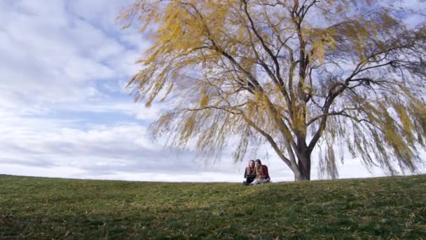 Zwillingsschwestern Benutzen Ipad Unter Großem Baum — Stockvideo