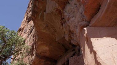 Wild desert in Arizona, USA