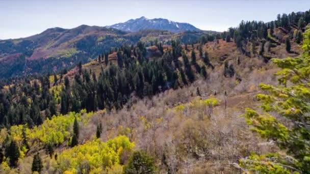 Abd Güzel Dağ Manzara Görünümü — Stok video