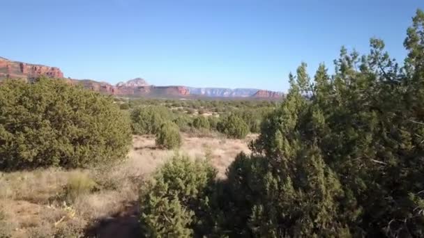 Wild Desert Arizona Usa — Stockvideo