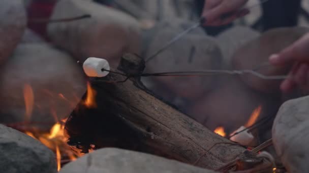 一群青少年在室外燃烧的火中煎香肠和棉花糖 — 图库视频影像
