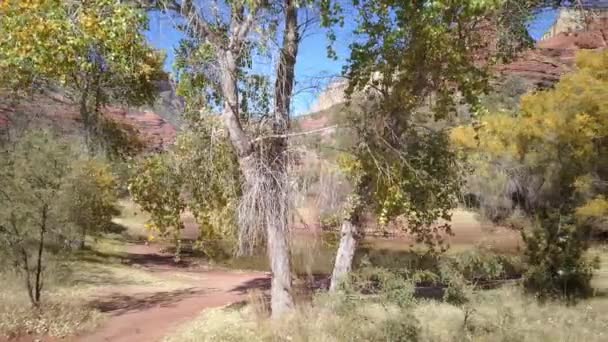 Rivière Dans Beau Désert Arizona États Unis — Video