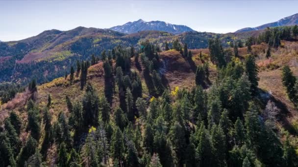 Belle Vue Sur Paysage Montagne Aux États Unis — Video