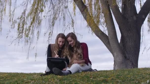 Zwillingsschwestern Benutzen Ipad Unter Großem Baum — Stockvideo