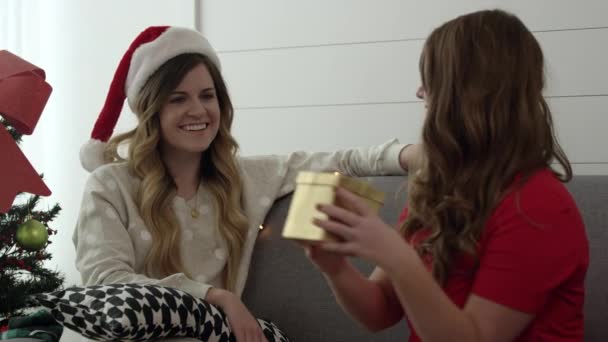 Mulher Está Dando Presente Natal Para Seu Amigo — Vídeo de Stock