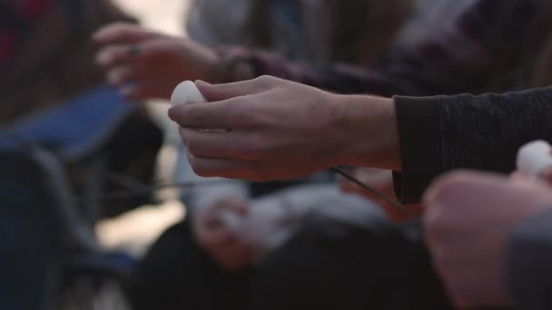 Grupp Tonåringar Stek Korv Och Marshmallows Brinnande Eld Utomhus — Stockvideo