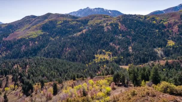 宇佐の美しい山の風景 — ストック動画