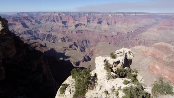 Deserto Selvaggio Arizona Stati Uniti — Video Stock